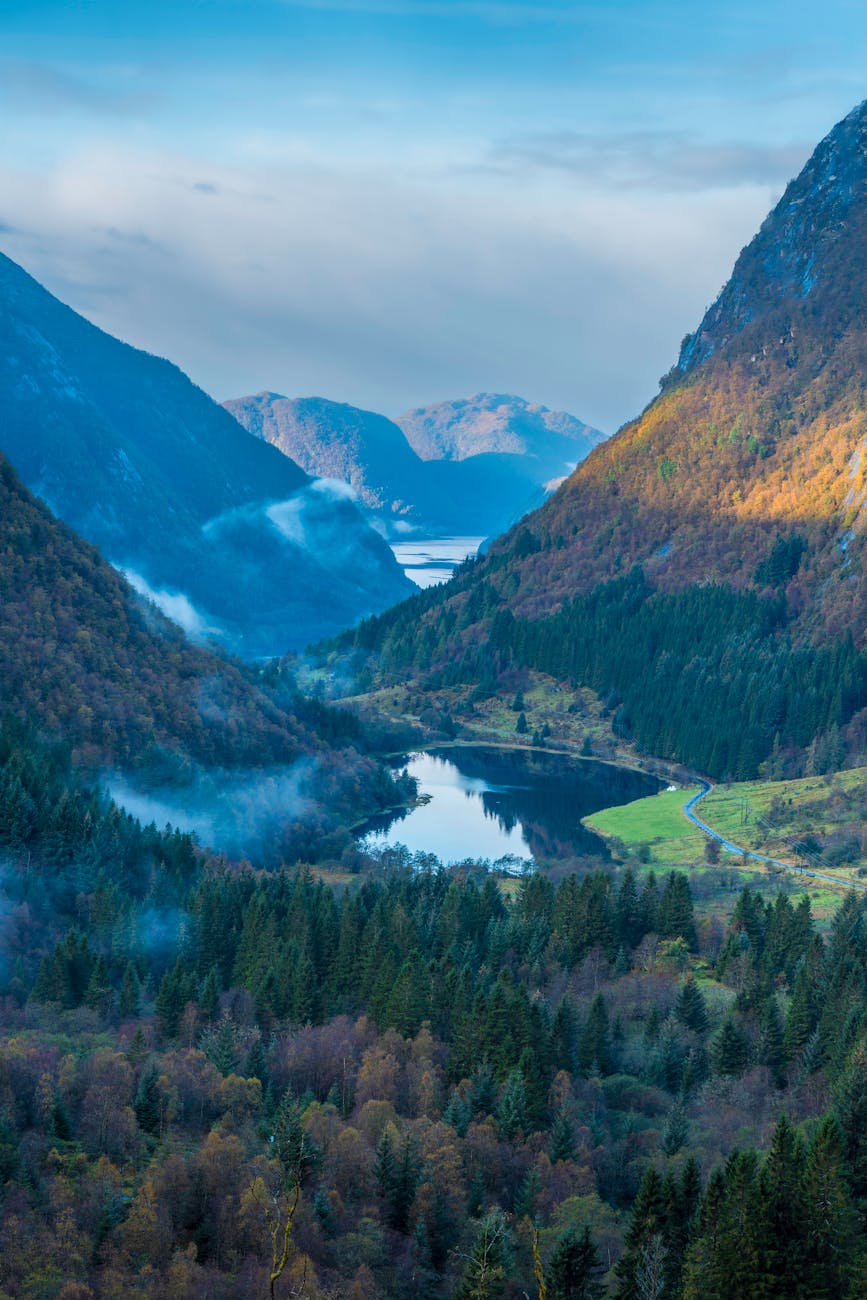 It’s finally done! (My latest novel: Embers of&nbsp;Dragonflame!)