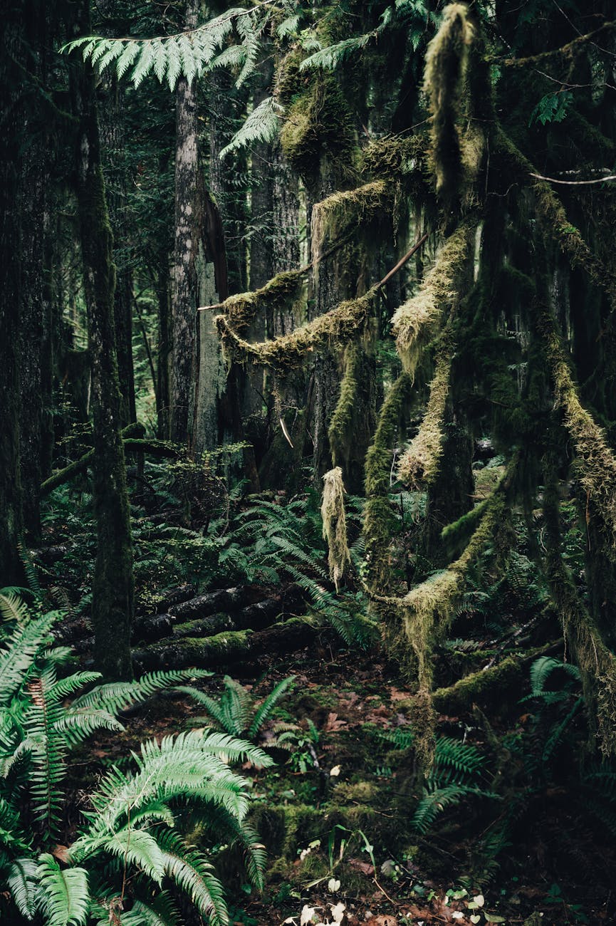 Where’s The Otherworld Chronicles Book&nbsp;2?