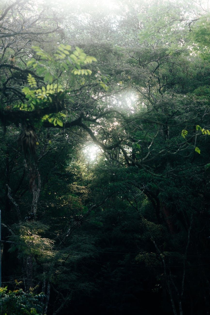 Enchant Your Kindle!