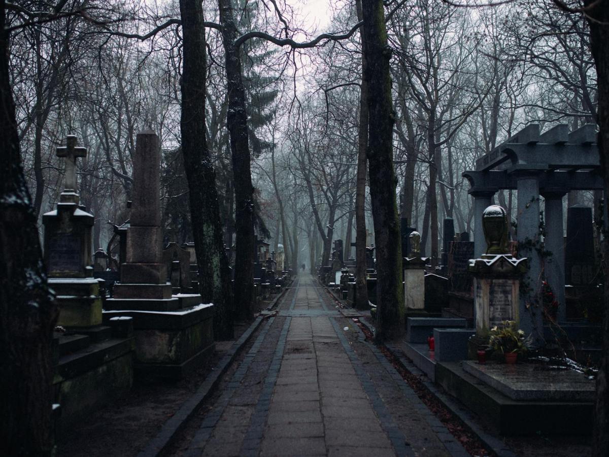 Horror Novels I’ve Read This&nbsp;Month